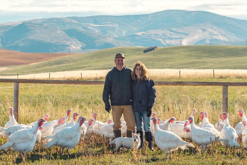 A farm family standing with their turkey flock in the Yampa Valley